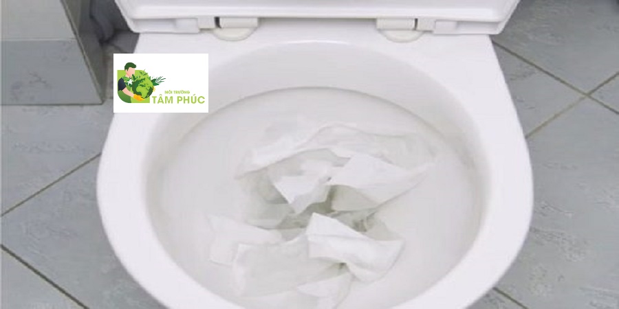 Thông tắc bồn cầu tại Thái Bình