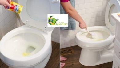 Thông tắc bồn cầu tại Thái Bình